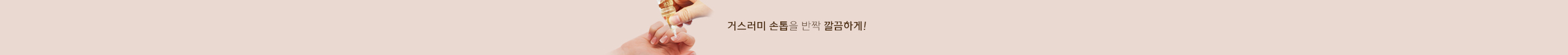 상단배너3